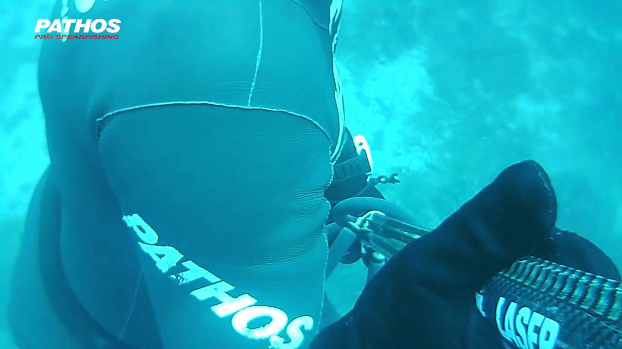 Groupers of the Deep