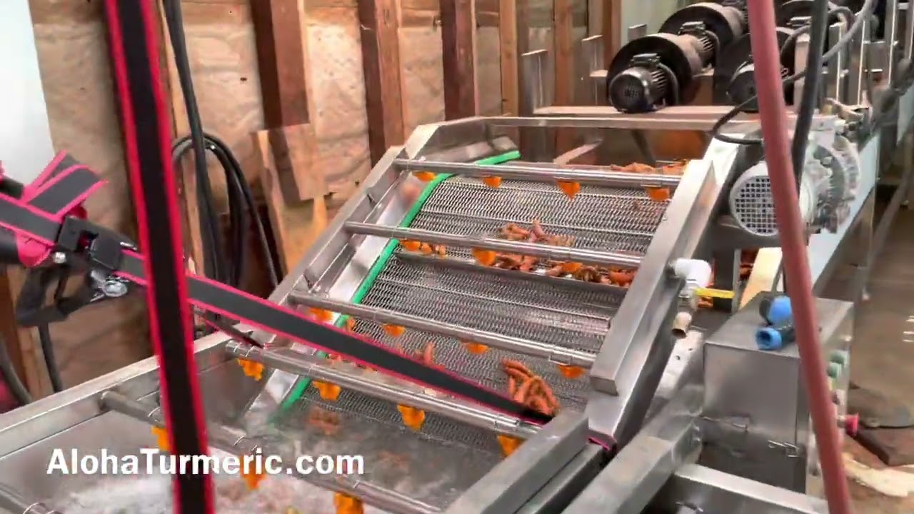 Mechanized turmeric harvest