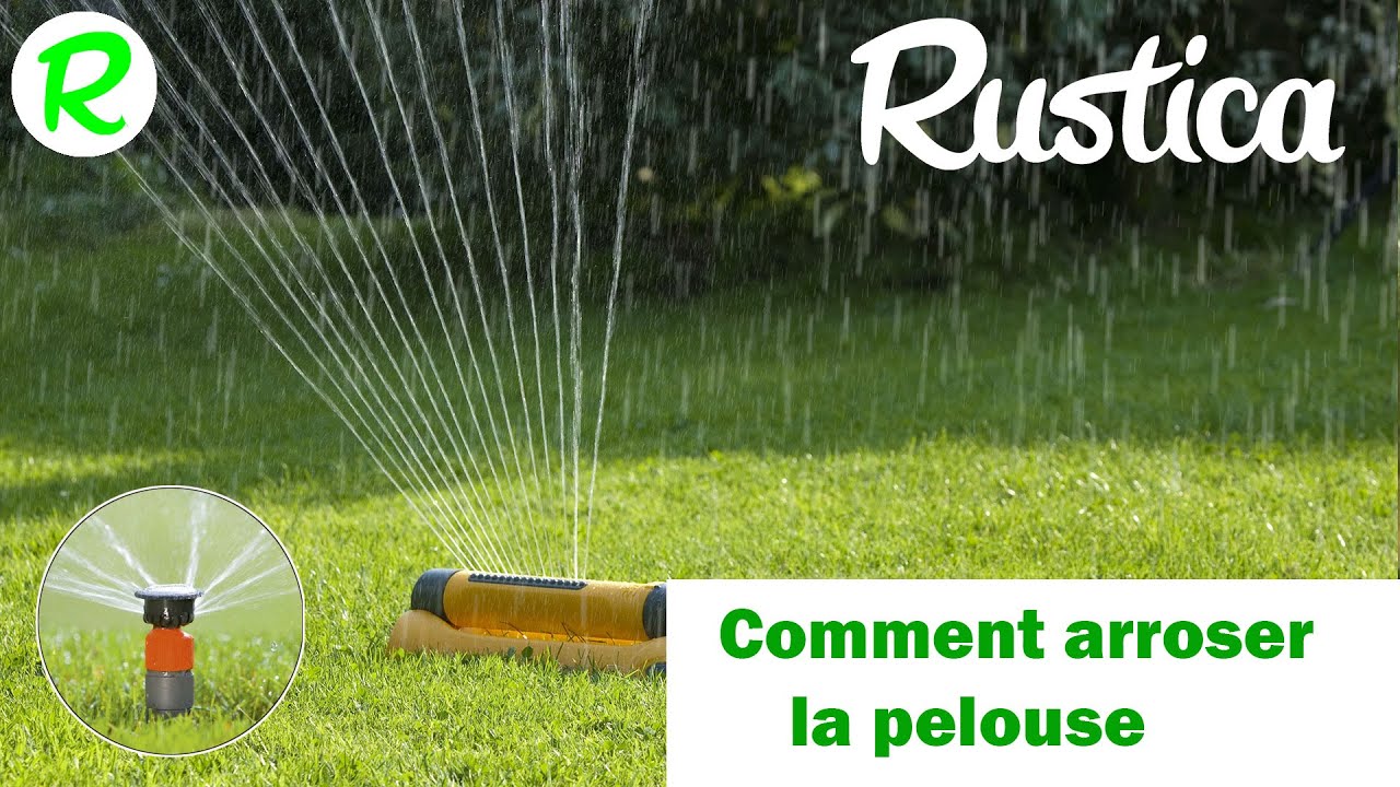Comment bien arroser son gazon