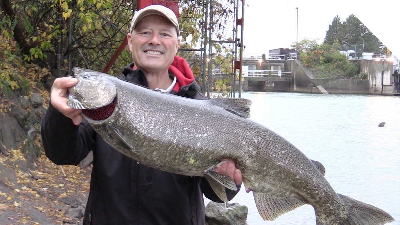 Shore Fishing in the Rain for Salmon using Roe Bags