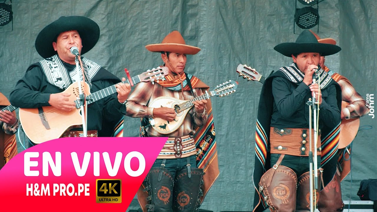 Proyecto Ch'umpiwillkas ( Caballo Brioso ) Queque Norte - Santa Rosa - Puno / H&M PRO.PE