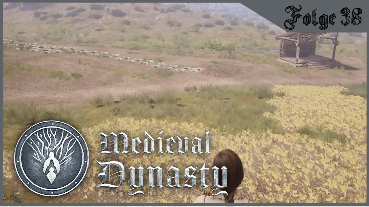 Feldarbeit  - Medieval Dynasty mit @teffel  #38