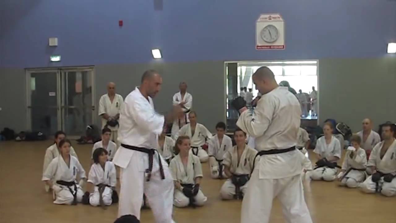 Sensei Artur Hovannisian - Mawashi geri