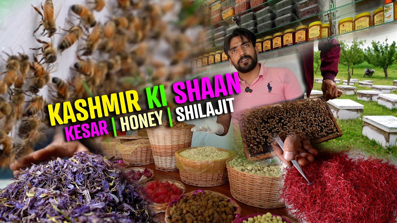 Live Shilajit Making | Dry Fruits Market in Kashmir | Honey Farming In Kashmir | Saffron Processing