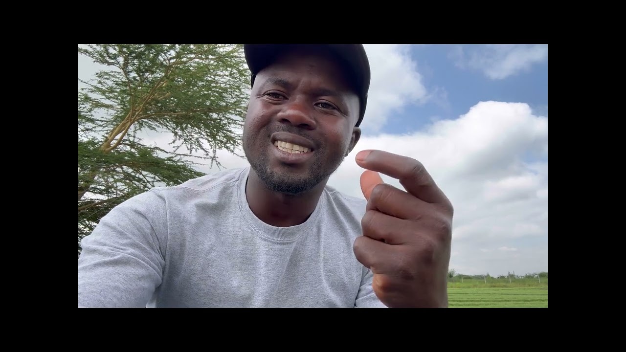 How I lost 4,000 kgs of onion 🧅 per acre because of a single mistake| onion farming in Kenya