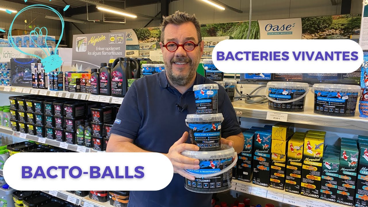 Des bactéries vivantes ? Oui , ça existe et c'est très utile pour l'équilibre du bassin.