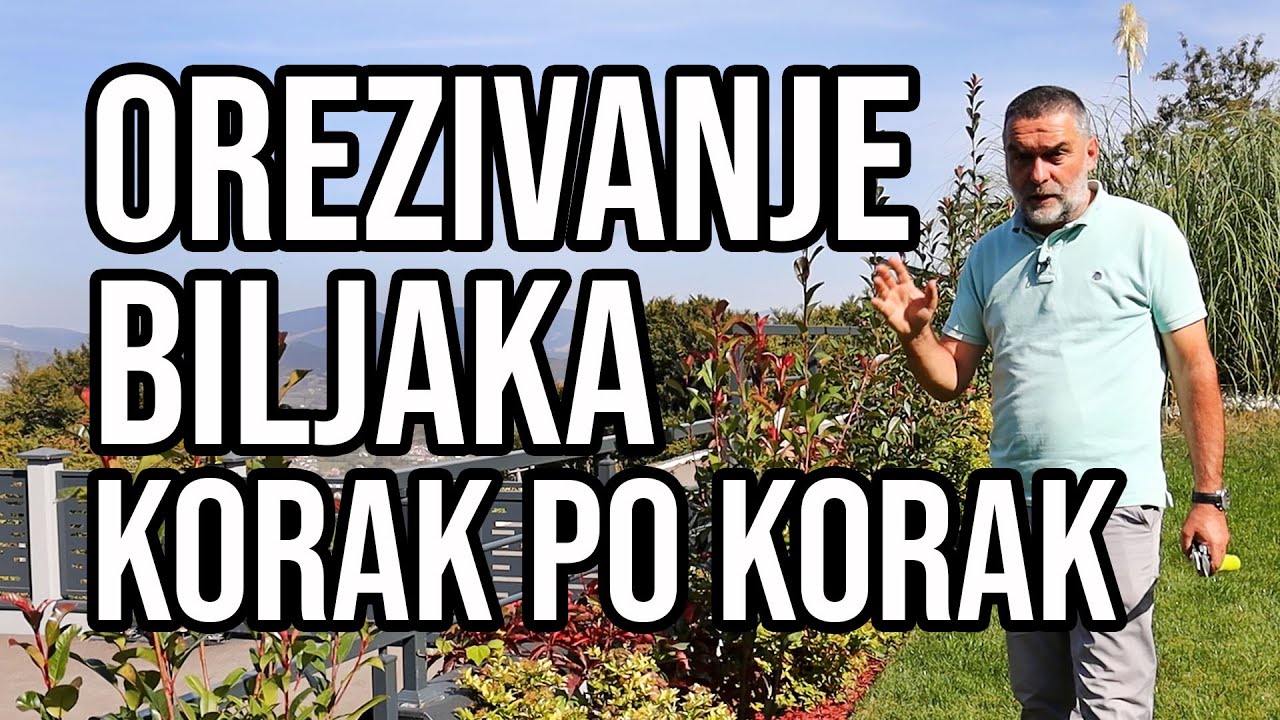 Orezivanje biljaka - korak po korak