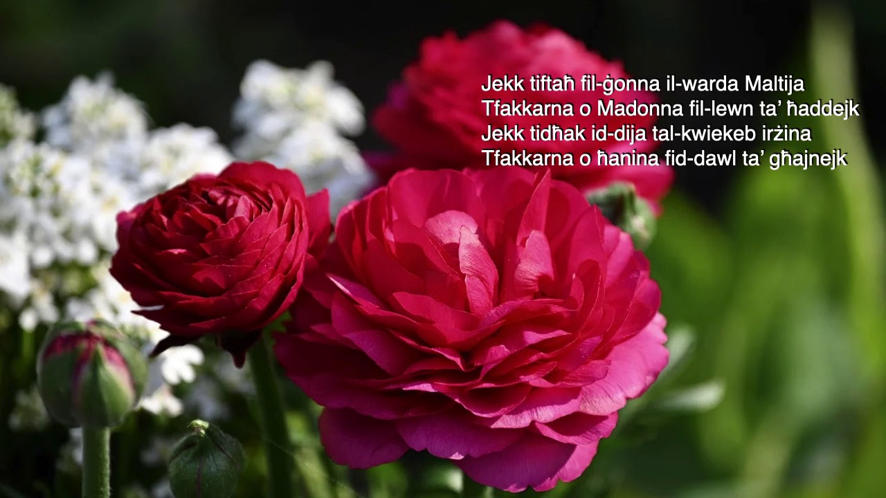 Fil-Hlewwa Ta' Mejju - 01.05.2020