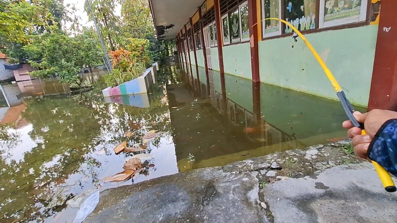 PANEN BESAR! Mancing di depan dan belakang sekolahan banjir