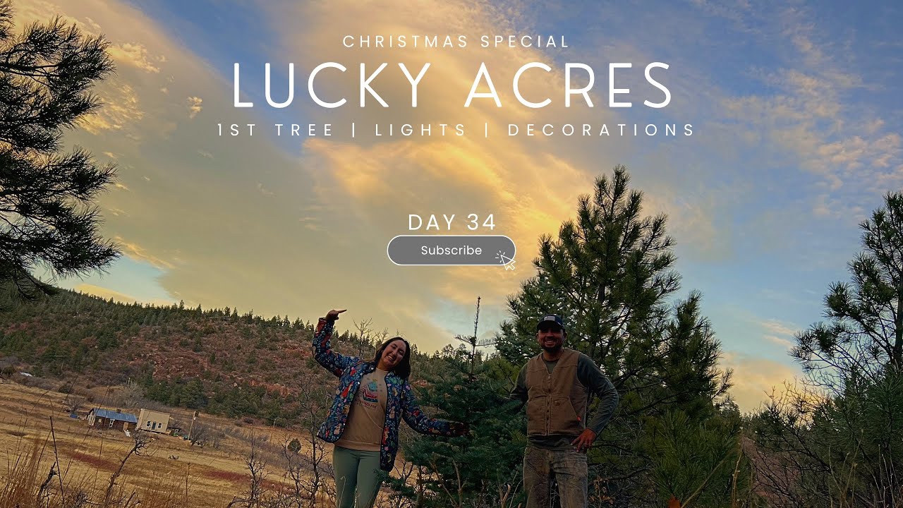 Рождественский спецвыпуск Lucky Acres! Первая елка, гирлянды, электричество и многое другое!