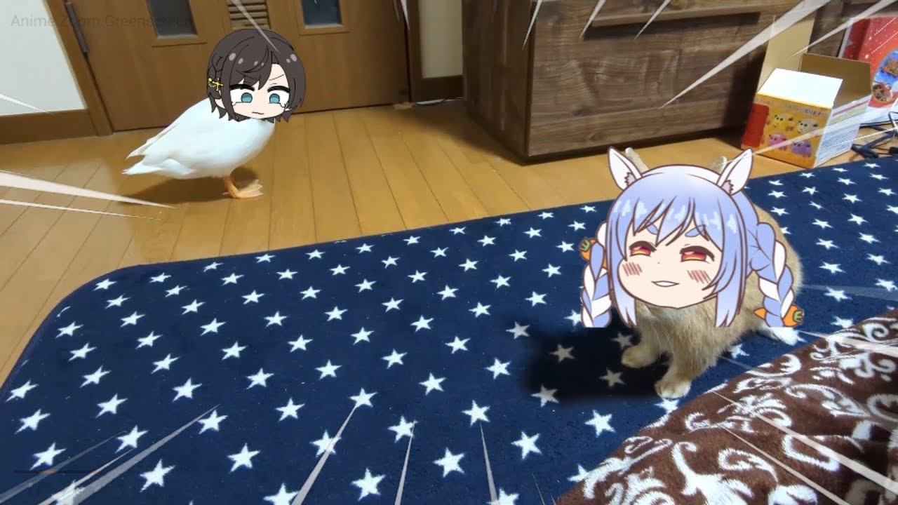 Subaru duck Vs Pekora rabbit war | Animal hololive