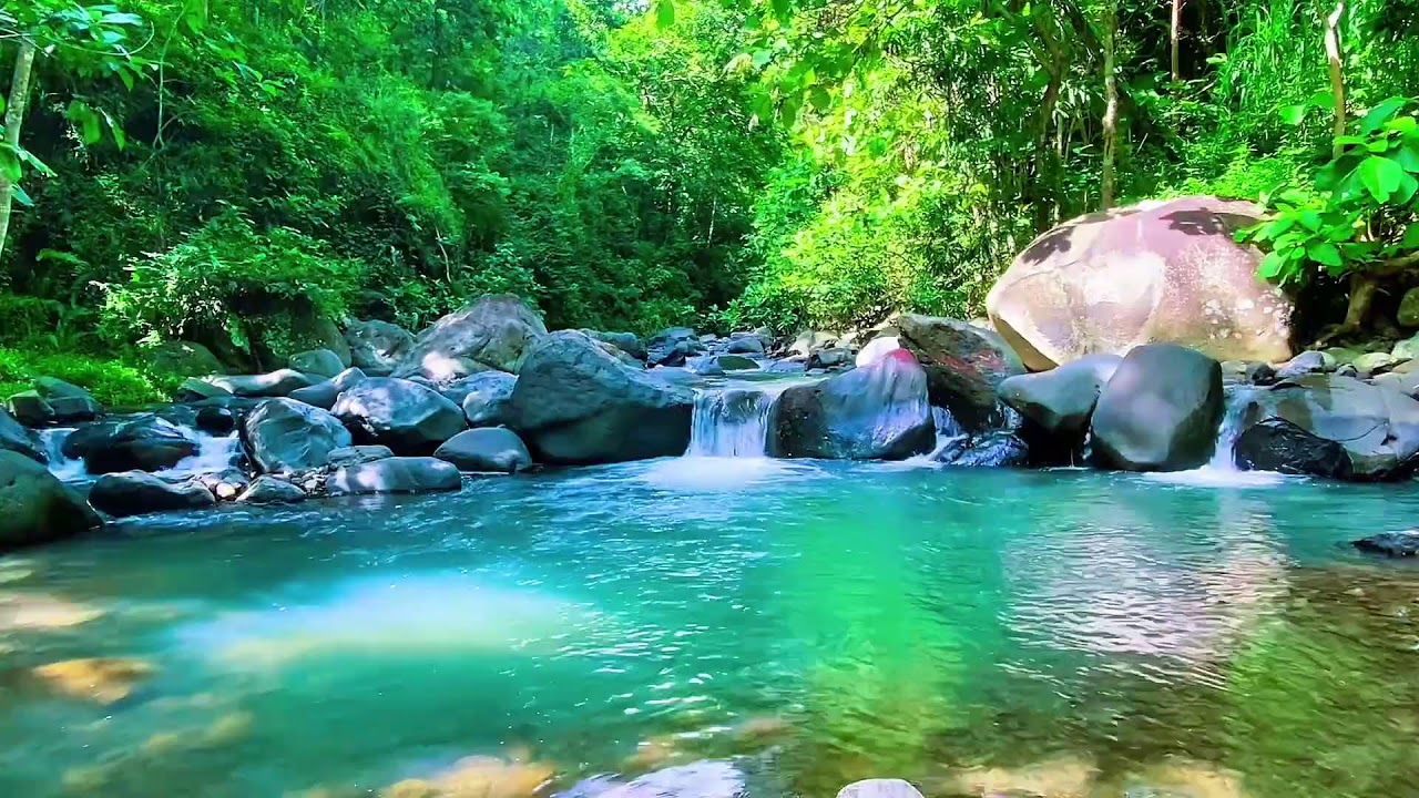 Mountain Water Stream Calm Flow, Forest River Sounds, Sleeping