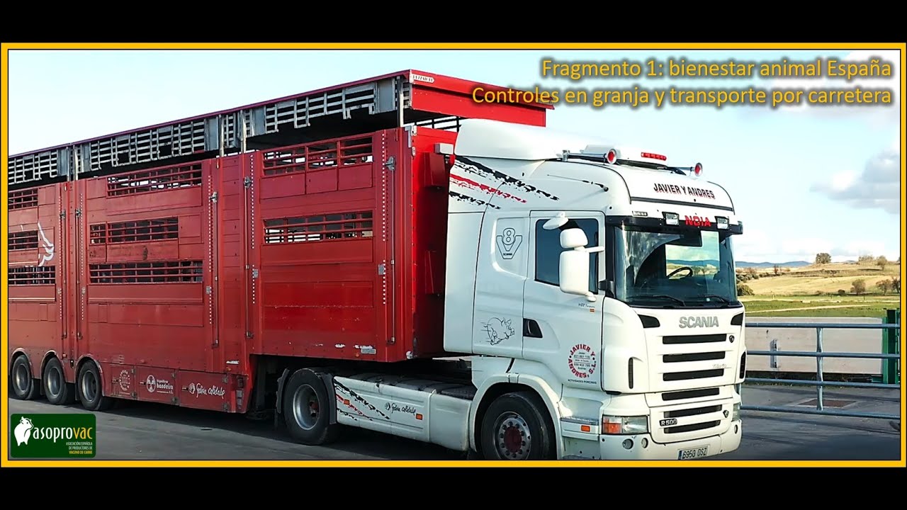 Fragmento 1: bienestar animal Espa&ntilde;a - Controles en granja y transporte por carretera