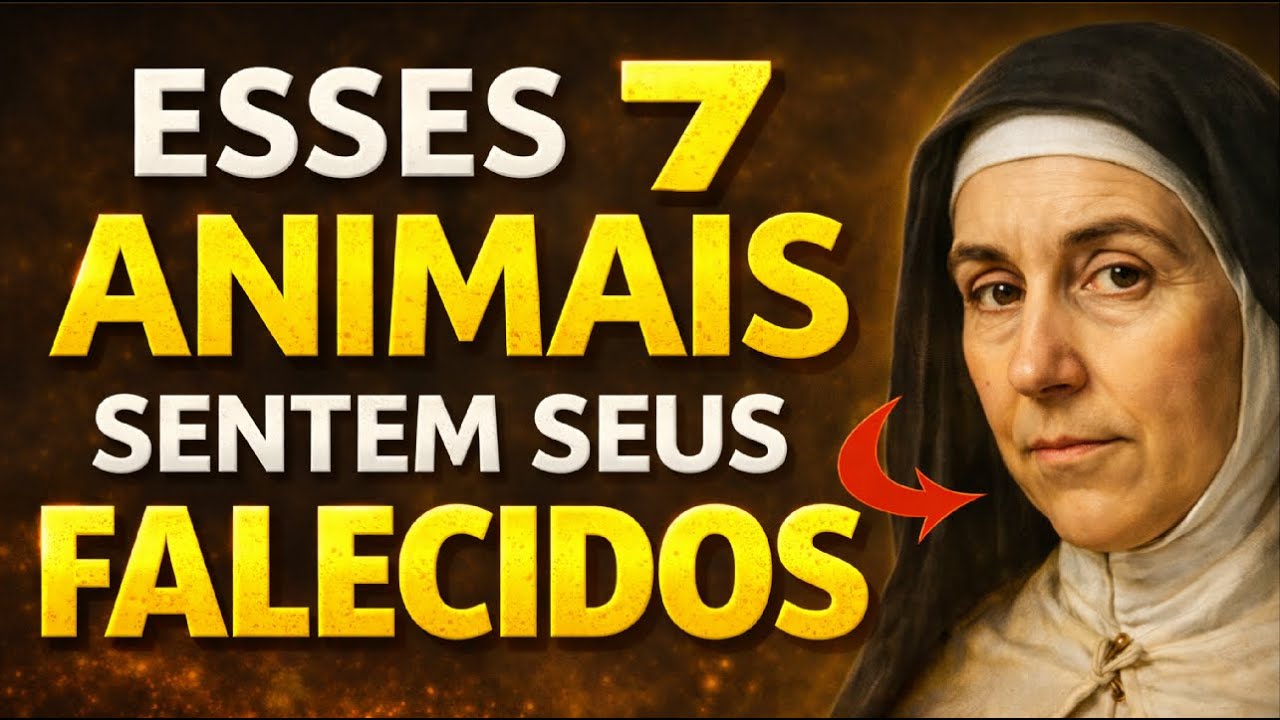 Santa Teresa Revela Como Nossas Orações Ajudam as Almas que Já Partiram