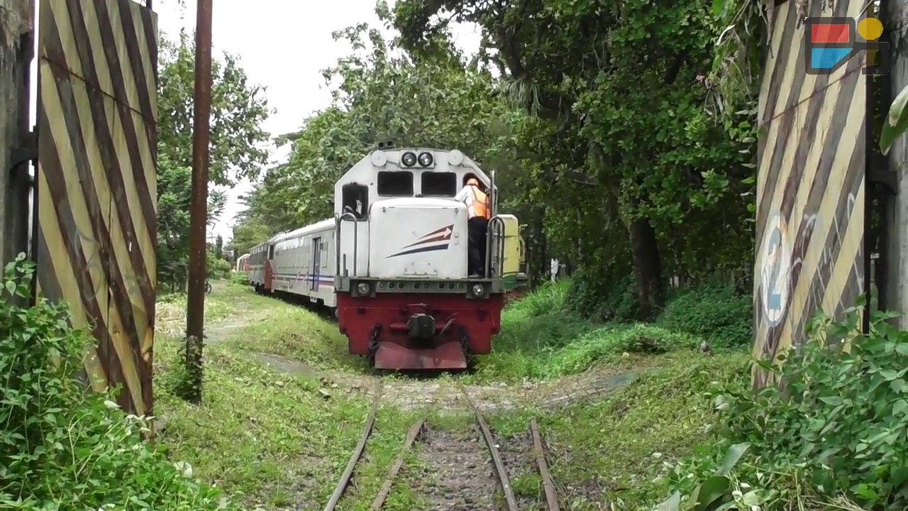 Lagi-lagi Kereta Api Aneh Blusukan Kebun..Mau Jadi Apa?