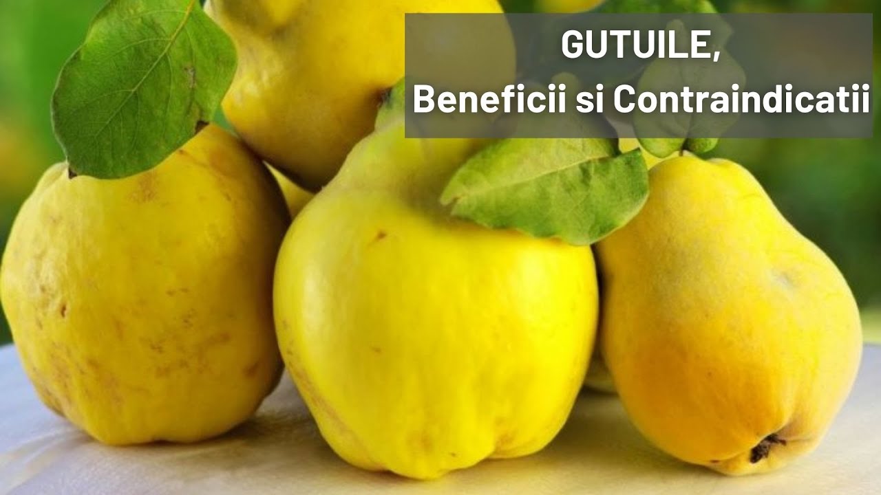 GUTUILE, Beneficii si Contraindicatii pentru sanatate