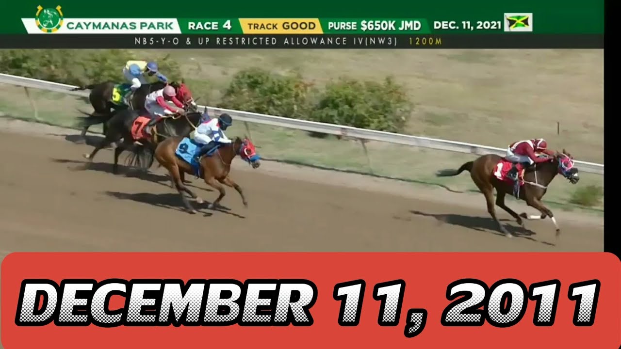 CAYMANAS PARK HIGHLIGHTS | DEC. 11, 2021