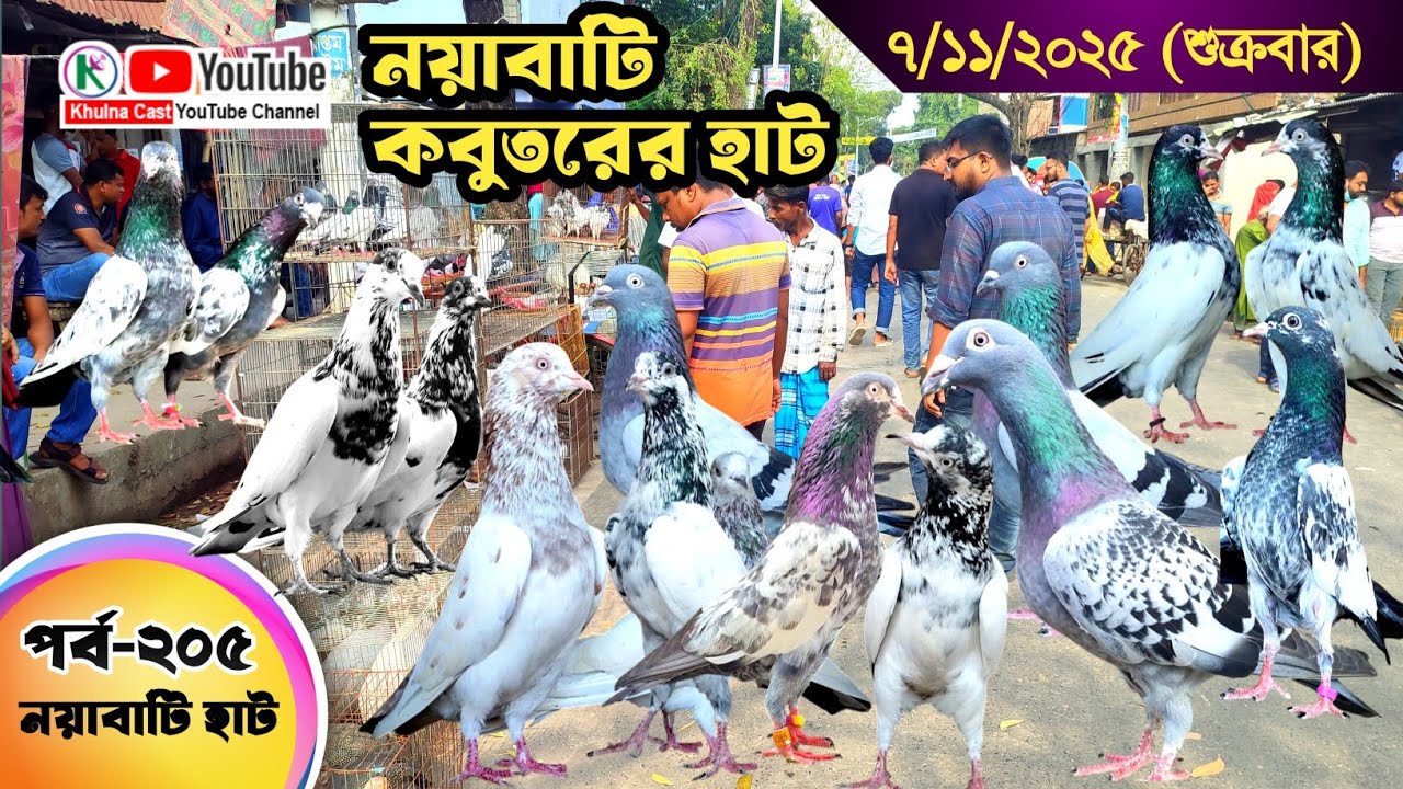 নয়াবাটি কবুতরের হাট পর্ব-২০৫।।খুলনা জেলার সবথেকে বড় কবুতরে হাট নয়াবাটী ।। the Largest pigeon market
