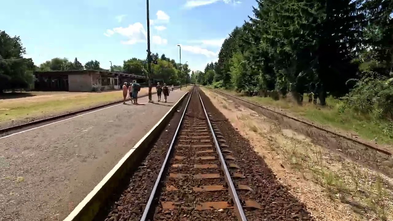 The Line Tapolca - Balatonfüred (Nr. 29.) 2024 4k
