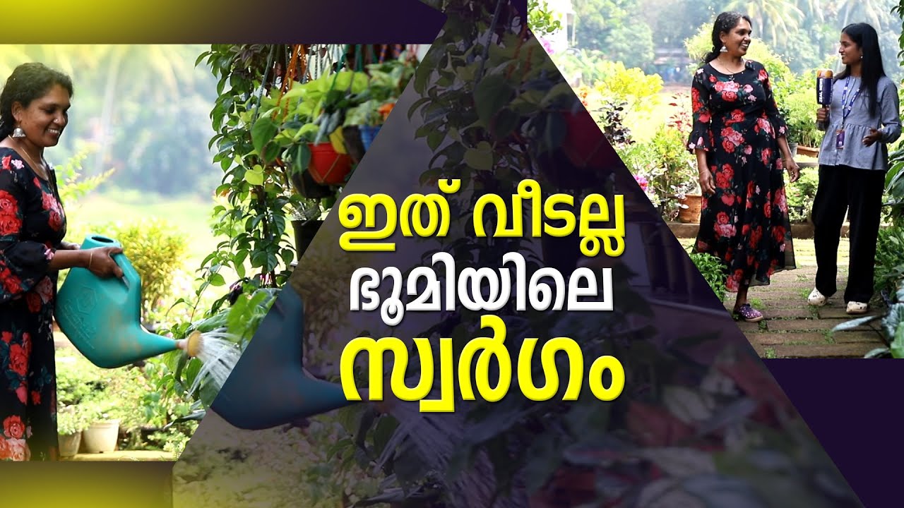 സ്വർഗ്ഗത്തിന്റെ പരിപാലക.Mini World