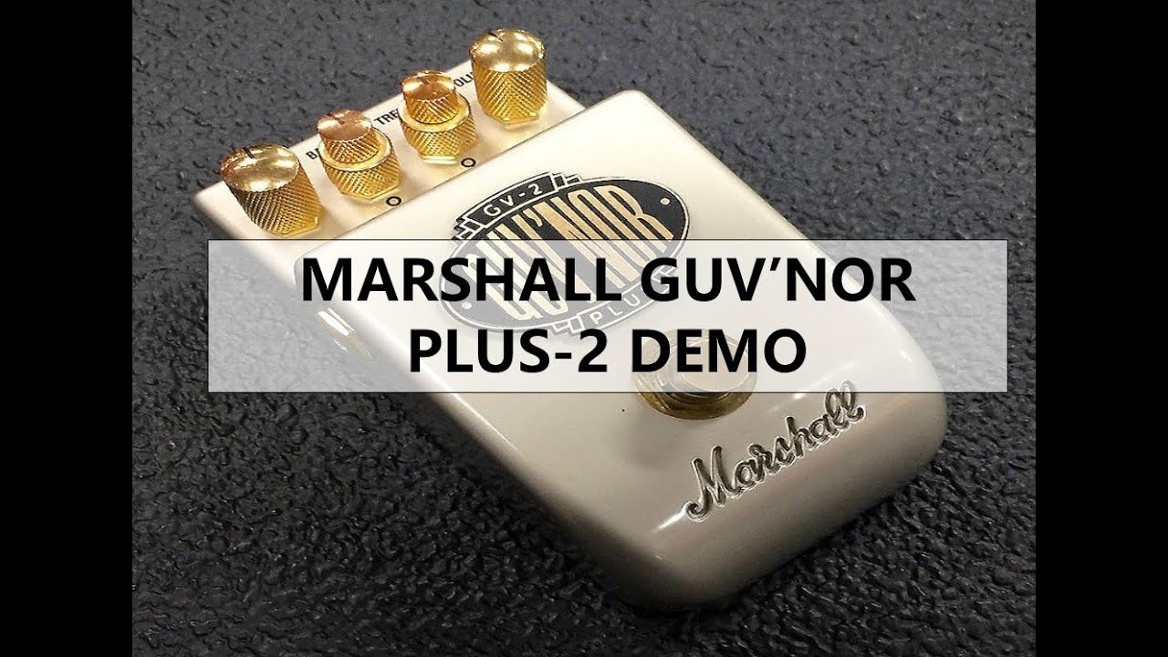 MARSHALL GUV'NOR Plus GV-2 DEMO
