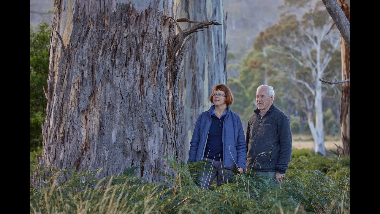 How one bequest made a big difference for nature