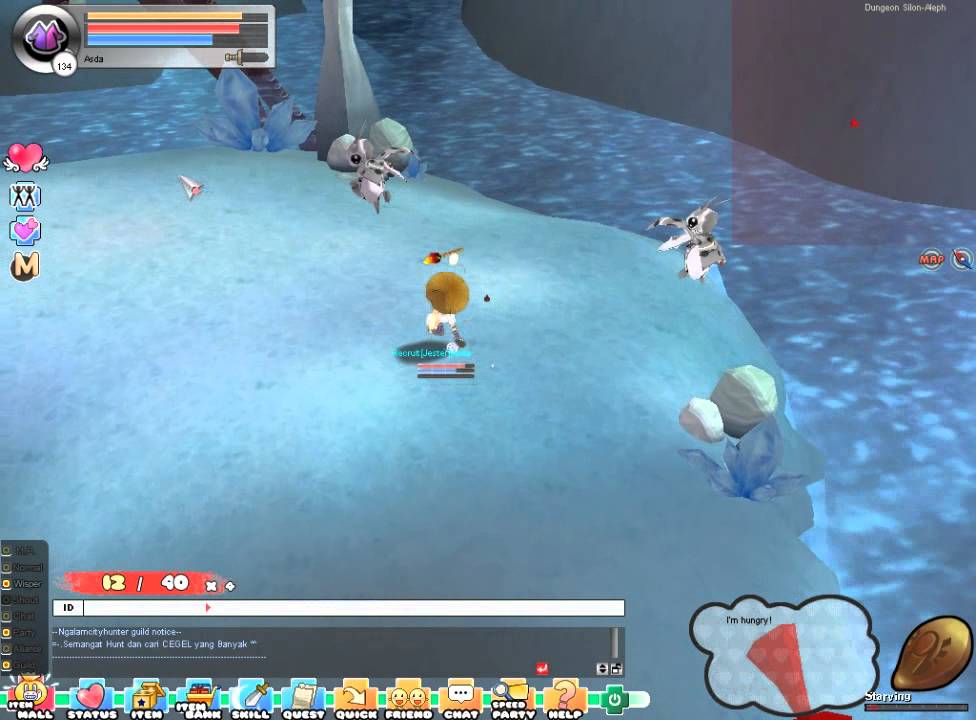 SO3DPlus Seal Online Plus Blades of Destiny Quest Aleph (eeow) part 2 end