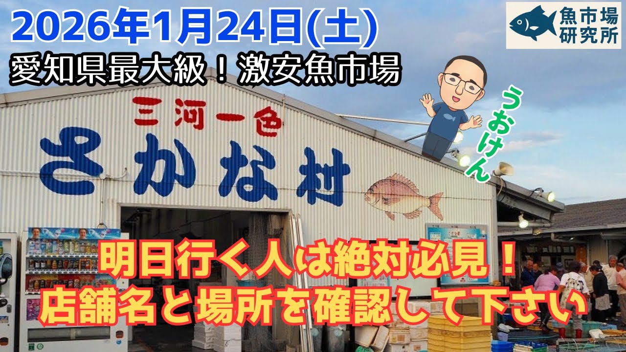 【緊急撮影】マグロ中トロ200円!?明日まで…『一色さかな村』価格崩壊がヤバい