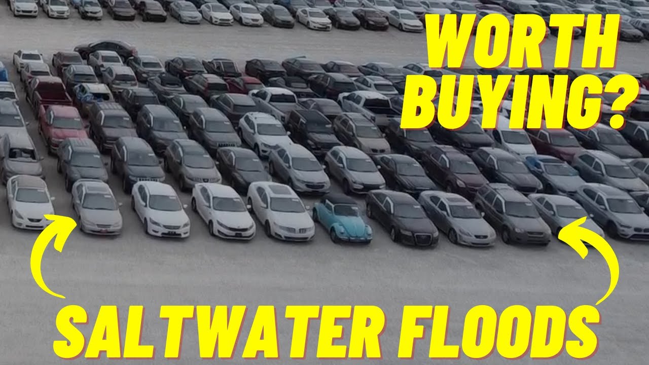 FLORIDA COPART FLOODED CARS WALKAROUND