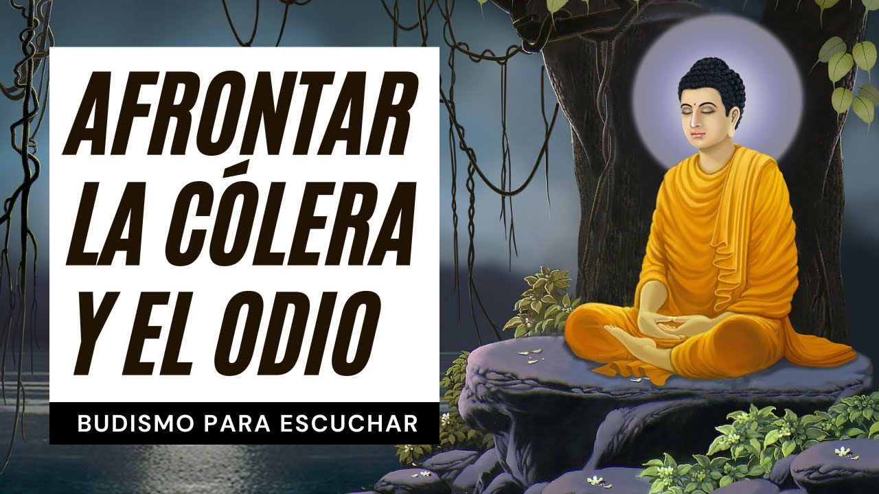 CÓMO AFRONTAR LA CÓLERA Y EL ODIO | La Vía del Budismo Tibetano | Perlas Budistas de Sabiduría