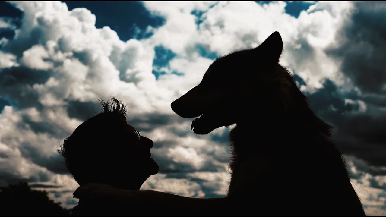 Documentaire animalier &eacute;pisode 1 : Association le rep&egrave;re