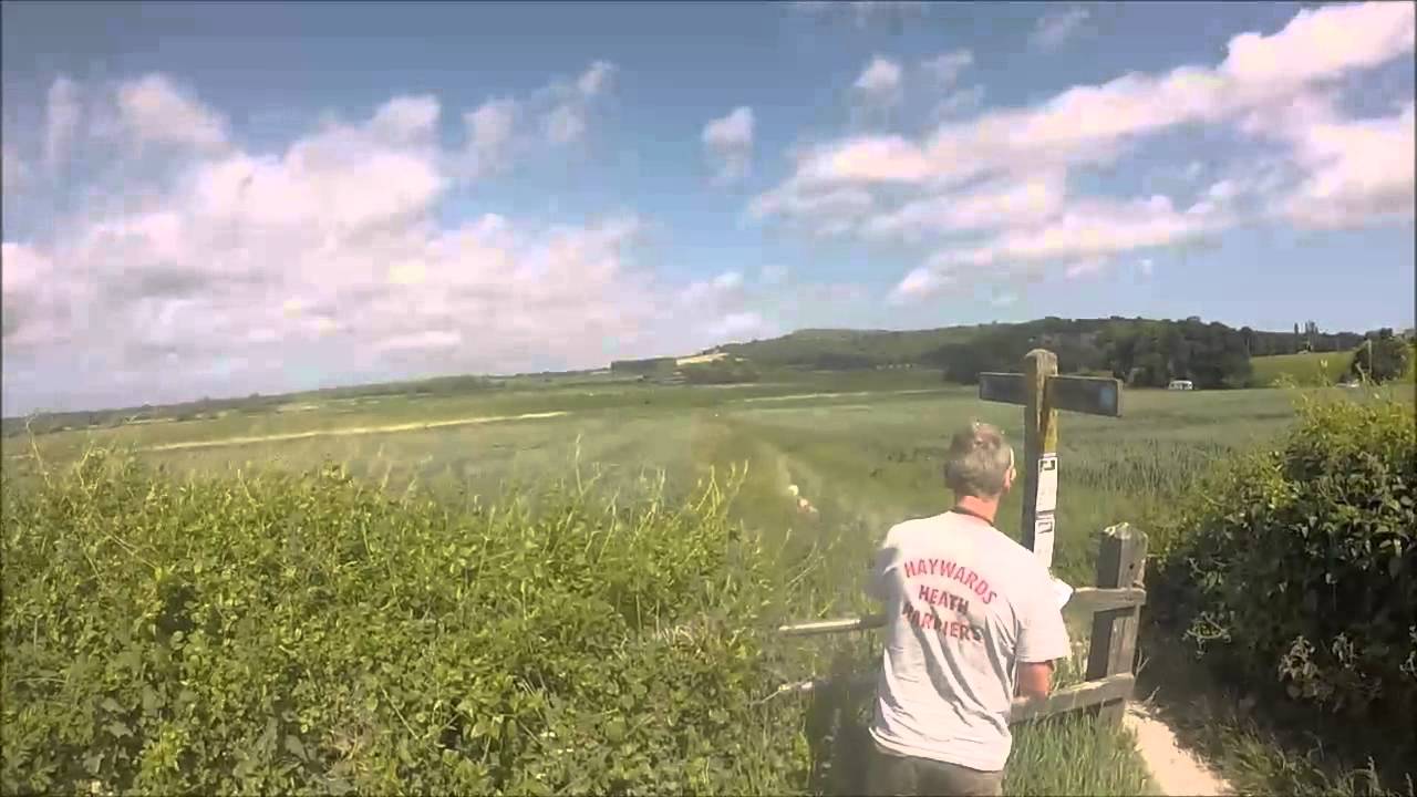 South Downs Way Relay 2015 - Haywards Heath Harriers