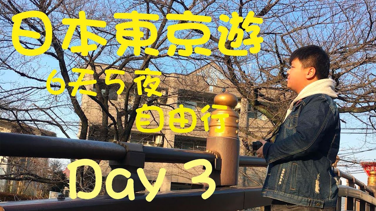 【2018 東京自由行】Day 3｜小江戶川越｜林屋炭燒鰻魚飯｜冰川神社求姻緣｜歌舞伎町朝聖｜鳥貴族居酒屋｜日本東京6日5夜自由行