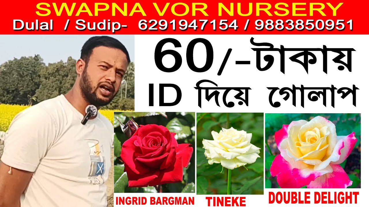 কম দামে ভালোগাছ নিতে আজই আসুন। Nursery | dulal nursery shikharpur
