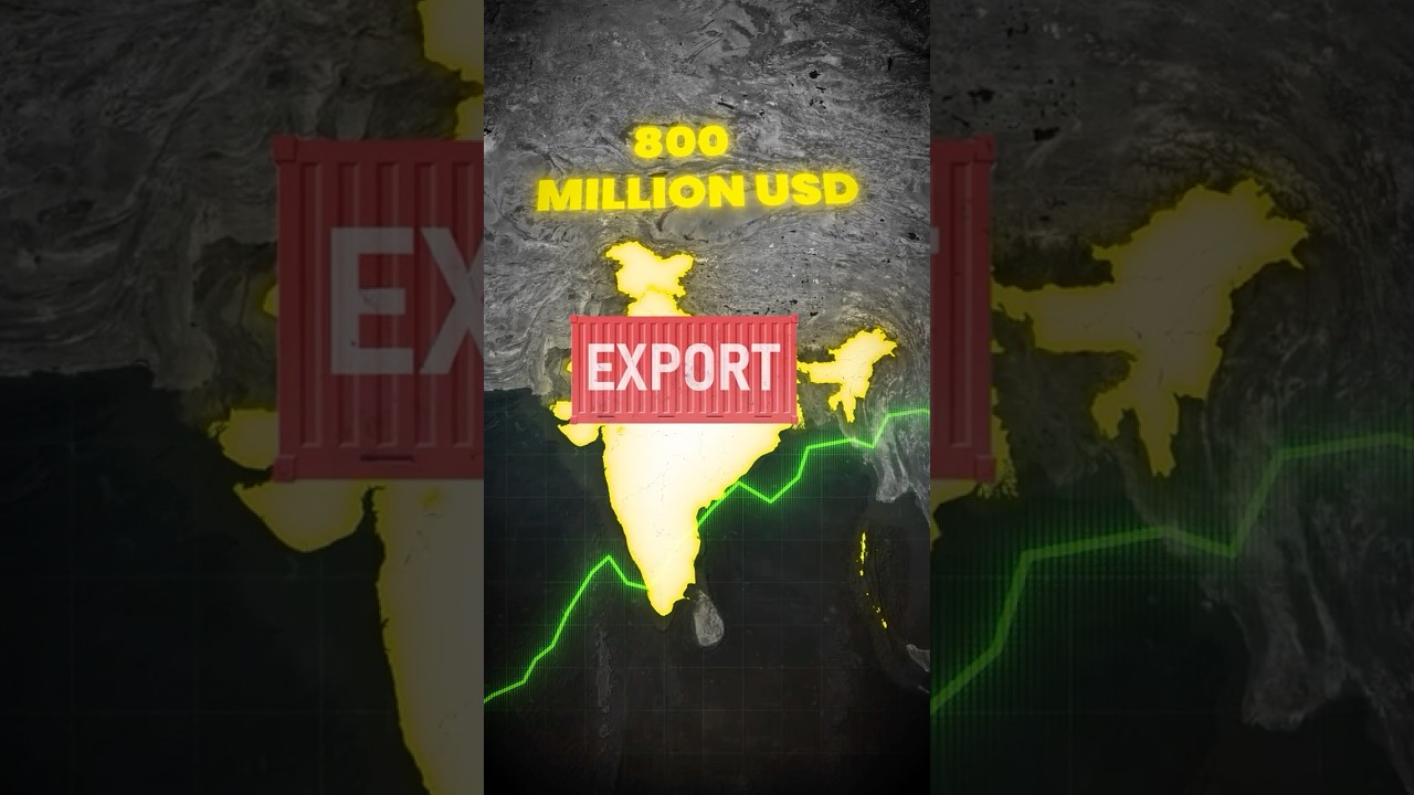 US Slaps 126% Tariff on Indian Solar Exports #solarpanel #renewableenergy