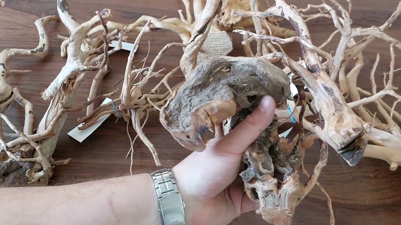 Jak spreparować korzenie Red Moor Wood? 162. AkwaGadka
