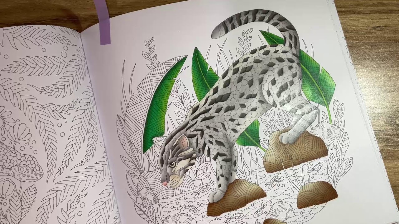 Surprise! Steve’s not feeling great so I’m stepping in! Let’s work on WIPS