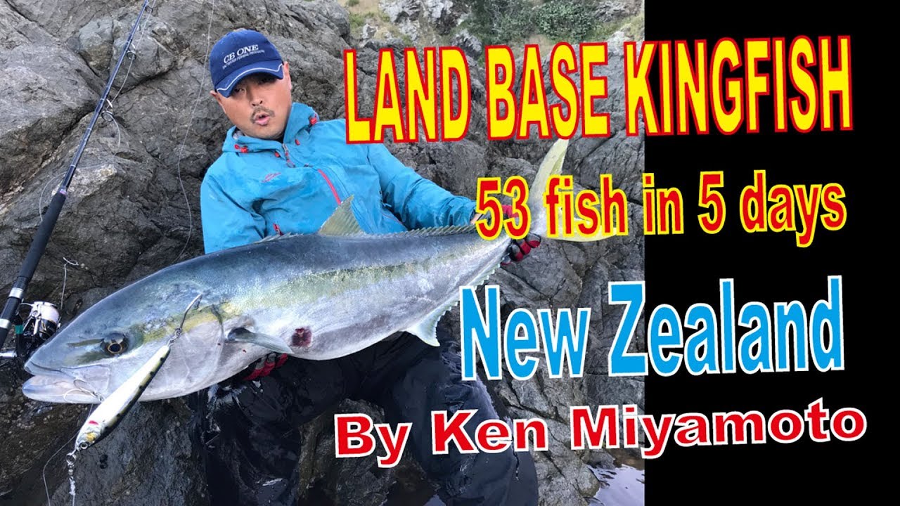LAND BASE KINGFISH GAME in NEW ZEALAND