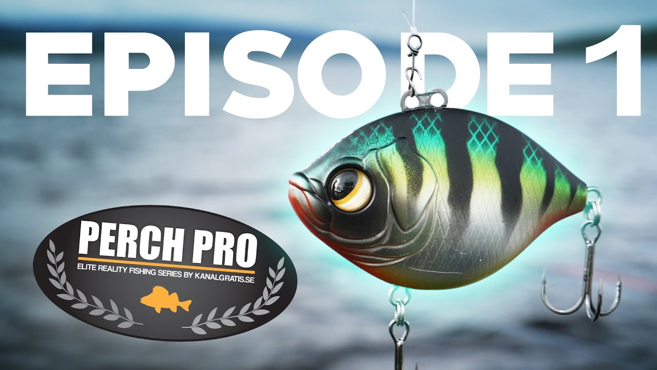 PERCH PRO 6 - Эпизод 1 (Русские субтитры)