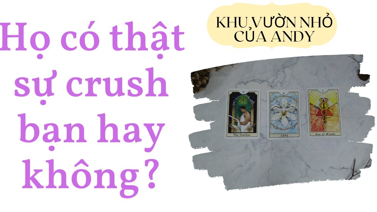 Họ có thật sự crush bạn hay không? {Crush only} | Chọn 1 tụ bài | Xem tarot