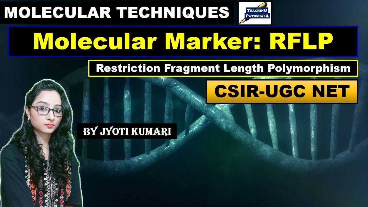 RFLP | MOLECULAR MARKER |CSIR NET| MOLECULAR TECHNIQUE