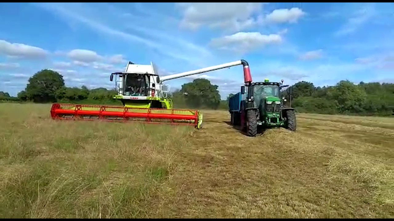 Harvesting Grass Seed using a Conventional Header - Part 2