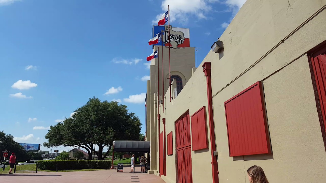 THE STOCKYARDS, CATTLE DRIVE AND BILLY BOBS