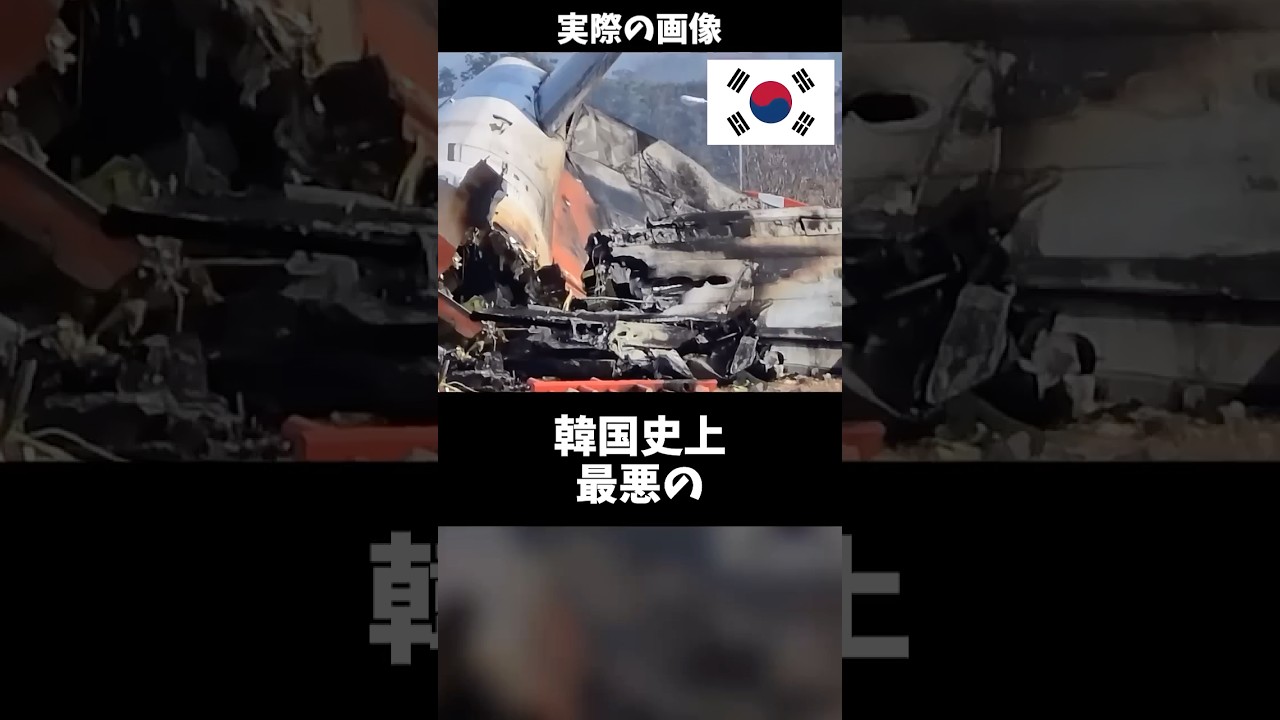 【60秒でわかる】チェジュ航空2216便事故の真相 #shorts