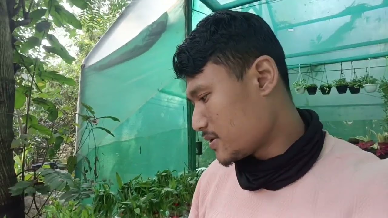 KAZIRANGA  NATIONAL orchid Park nursery short video 6/2/2026 February 
