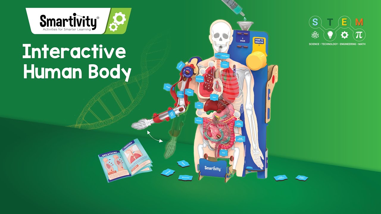 Interactive Human Body | How to make | Smartivity