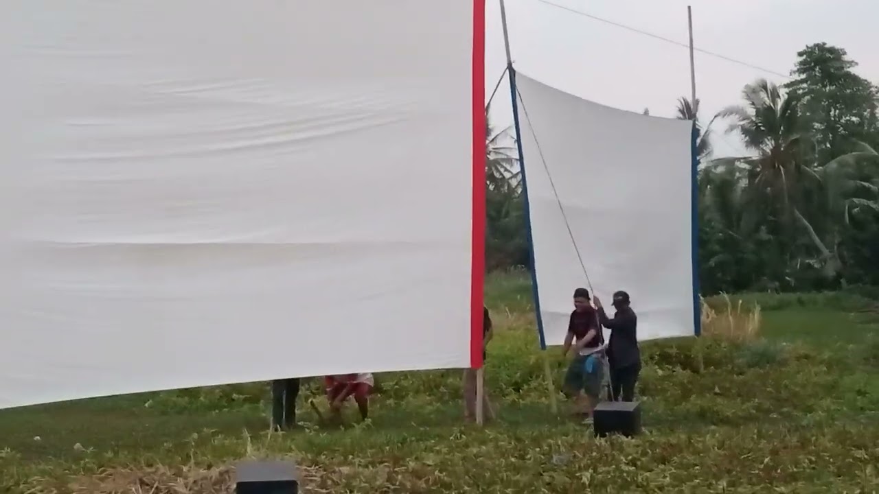 #acara
