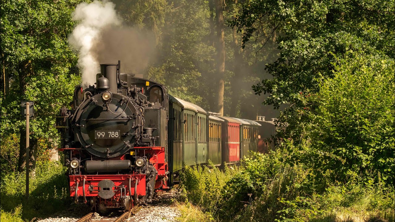Beim Öchsle im Juli 2022: Schmalspurdampflok 99 788 zieht den Zug von Ochsenhausen nach Warthausen