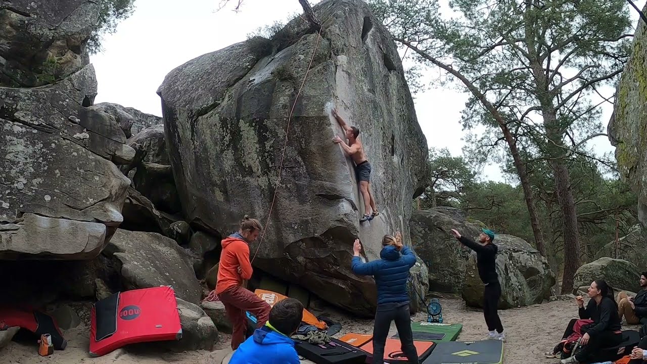 Figure de Proue, 7a - Éléphant, Fontainebleau