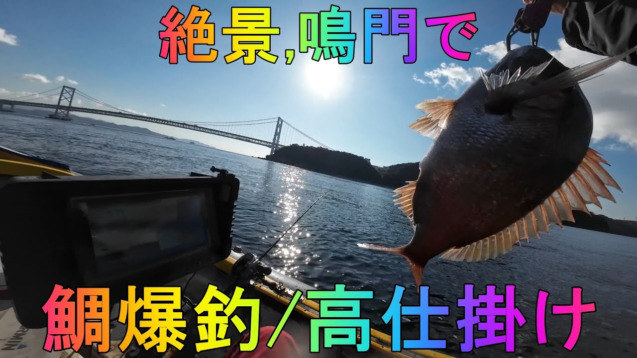 絶景 鳴門で鯛爆釣 高仕掛けの効果抜群‼
